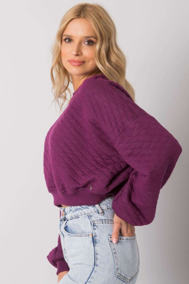 Sweatshirt model 169773 BFG - Image 2