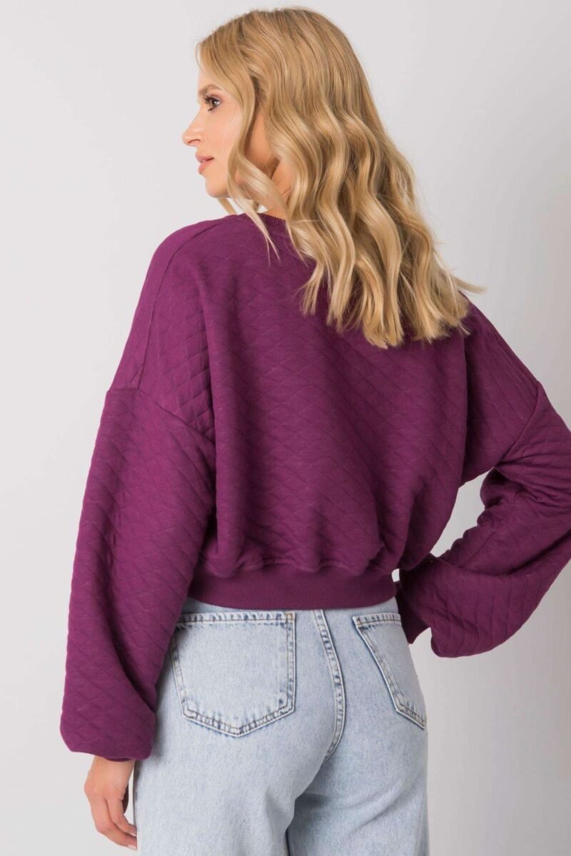 Sweatshirt model 169773 BFG - Image 3